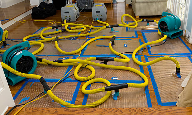 Professional Basement Flood Cleanup technician working in Pepin, WI